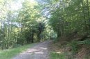 GR532 de St-Amarin à Geishouse